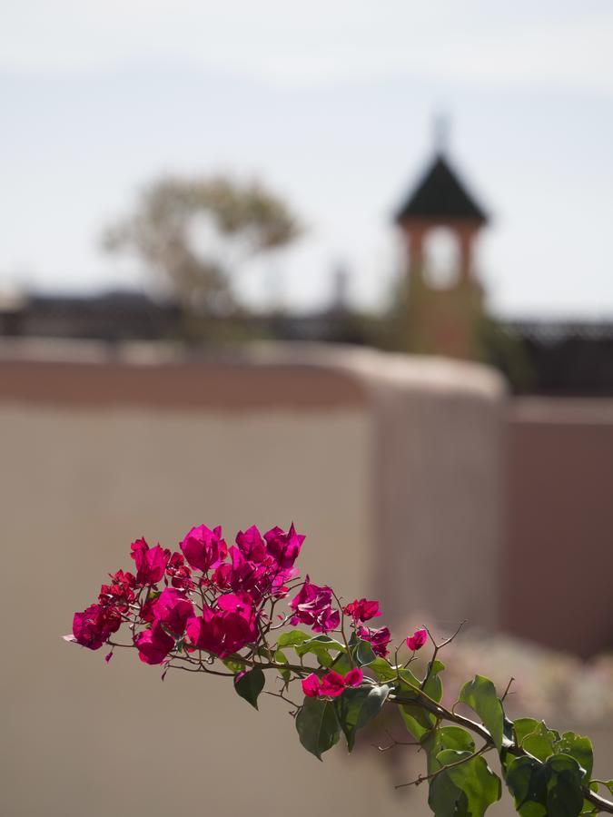 Dar Andamaure Hotel Marrakesh Exterior photo
